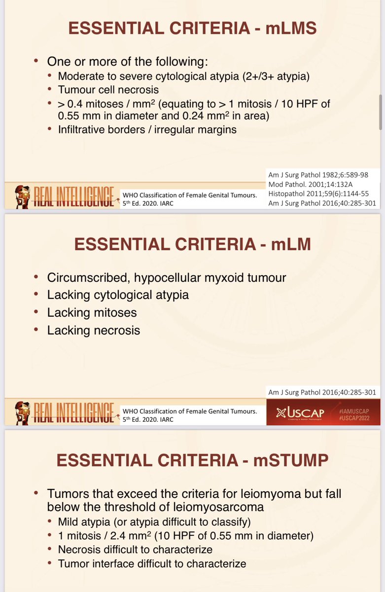 JNStallMD's tweet photo. .@CPHpath reviews the current spectrum of uterine myxoid mesenchymal uterine neoplasms and the WHO criteria for diagnosing entities in the differential @TheUSCAP @ISGynP companion society meeting! #USCAP2022 #gynpath https://t.co/zcTgS4W5md