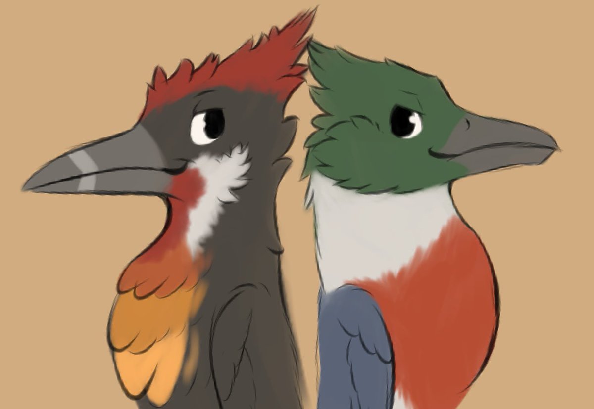 Todshel11's tweet photo. Daily Sketch
Some similar birds
Featuring the fantastic @iPecked &amp; @bird_dapper https://t.co/eBIuq62IC9