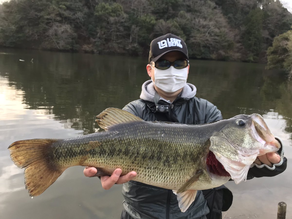 fusaku103's tweet photo. 亀山オカッパリ、朝だけ釣行🐟
ワンチャンにかけて臨んだ朝、MMZデカのノーシンカーで58.5cmのモンスター‼️
手が震える🤣撮影して下さったアングラーさん、ありがとうございました😊

#osp
#MMZデカ
#レジットデザイン
#wss64ml https://t.co/OgJMbifIi0