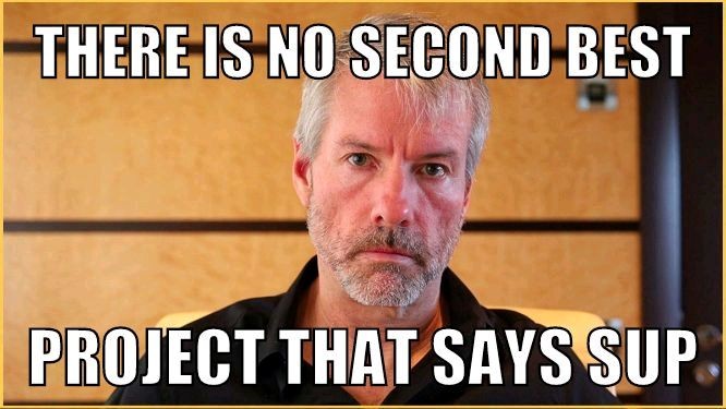 SupDucks tweet media