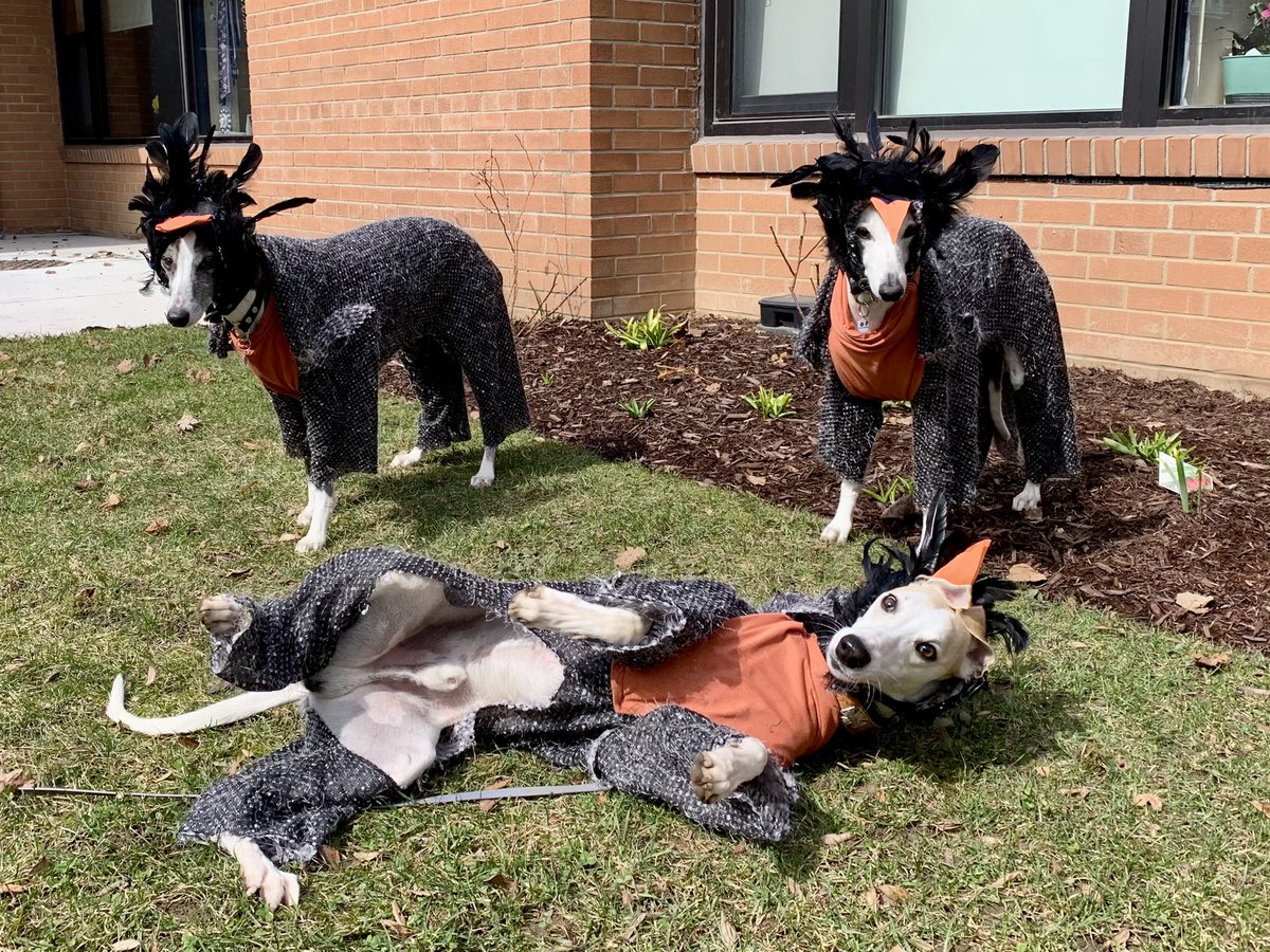 Happy first day of Spring.  #Robin