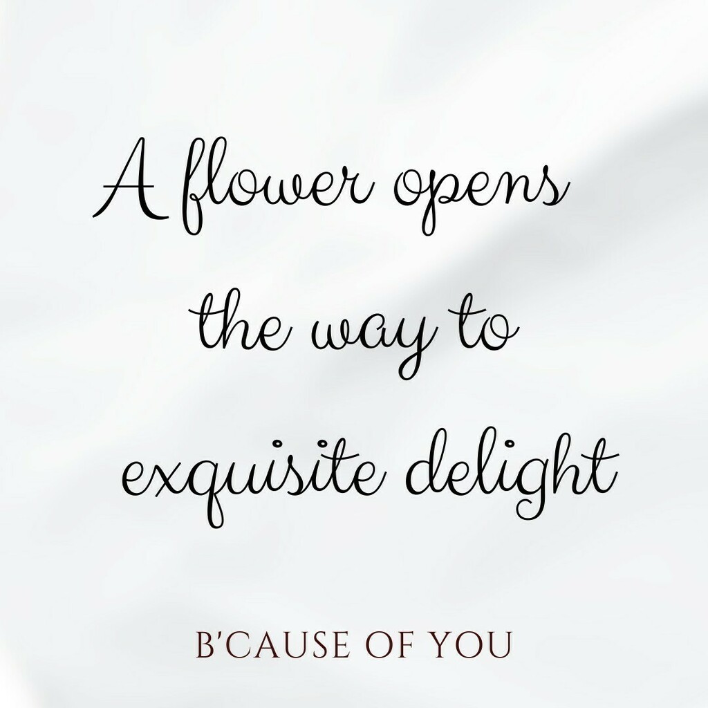 Bcause_of_You's tweet photo. Psalm 37:4 and 37:11 say it so well. We can find exquisite delight in our Creator and in every little thing he made for us so tenderly.

#creation https://t.co/DVeJuodDuI https://t.co/NbCxAnA7vS