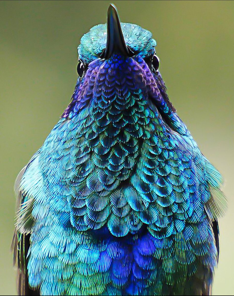 tatan_delgado's tweet photo. Buenas tardes!
Colores de la vida! https://t.co/nrvXcxRaUP