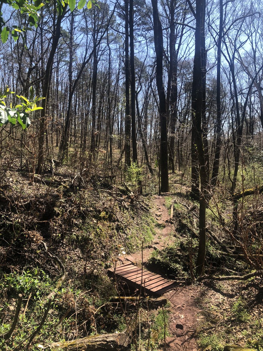 lexchantel_'s tweet photo. Perfect day for a hike. #birmingham #ruffnermountain #photography https://t.co/MQGFf1W7YF
