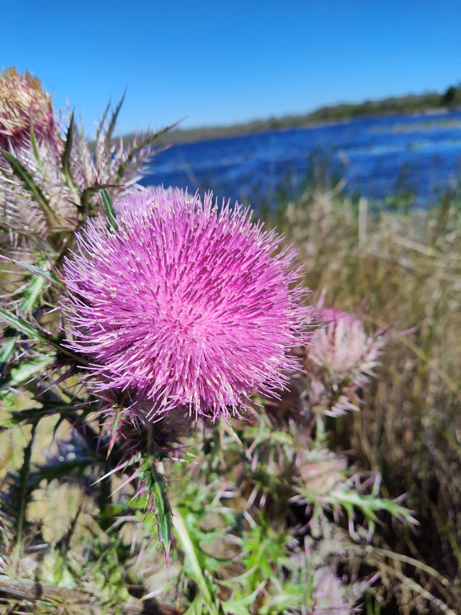 jeffvandermeer's tweet photo. Area X https://t.co/naLOx8TxbG