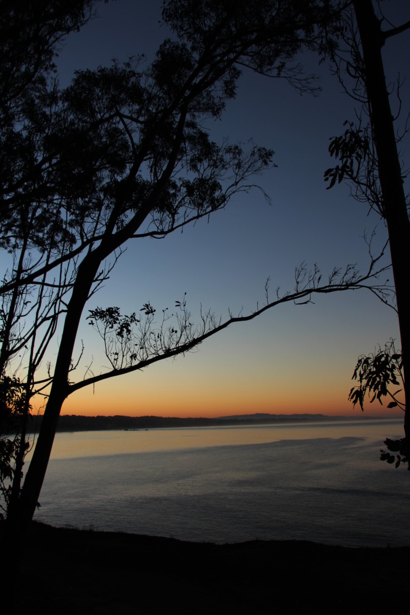 bay_nft's tweet photo. @cripixtoff Recent sunrise hike https://t.co/eekPwtQ9X6