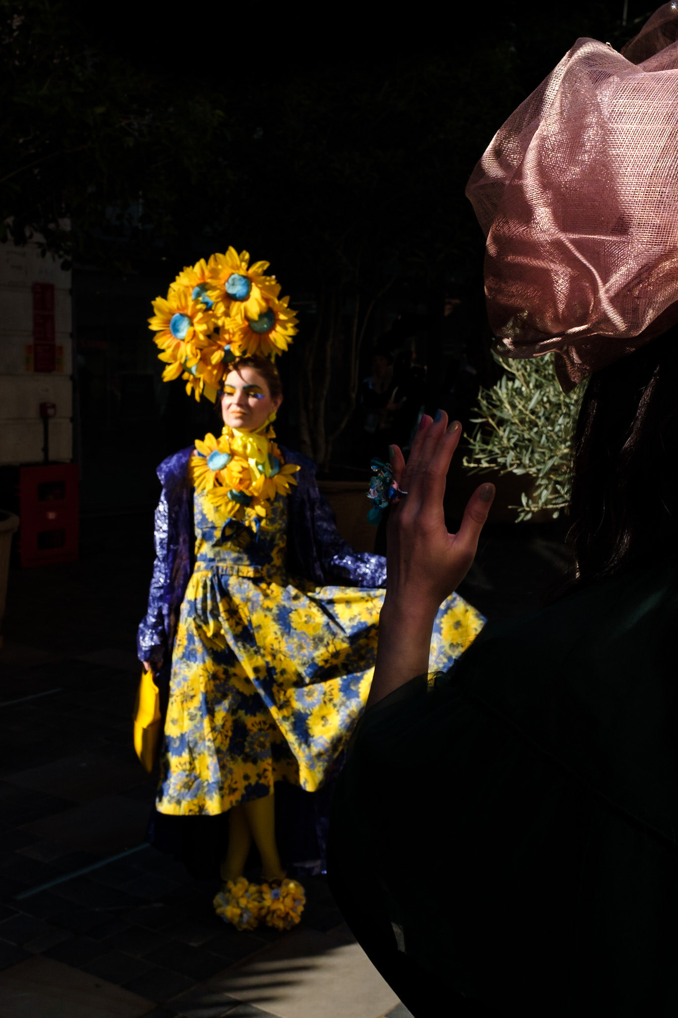 David Rathbone (@basilsview) / Twitter