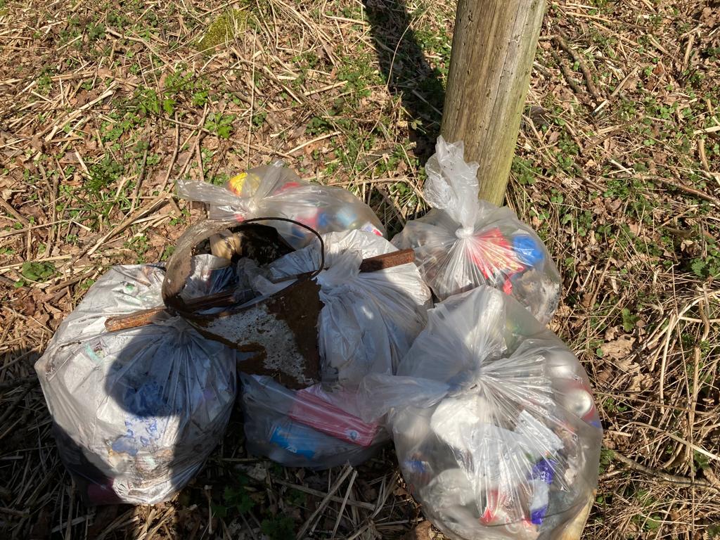 LitterfreeSB tweet media