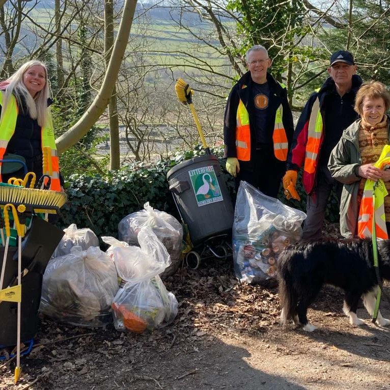 LitterfreeSB tweet media
