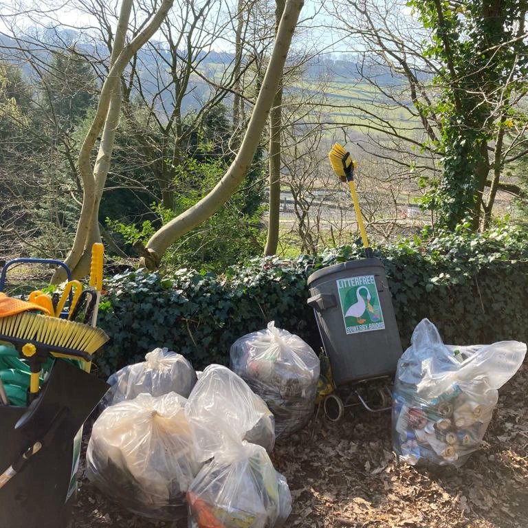LitterfreeSB tweet media