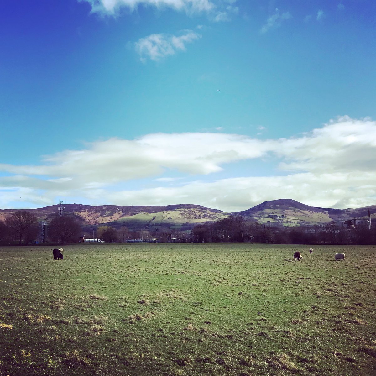 40Summits's tweet photo. Great time walking in the Vale of Clwyd this week… Stunning views and plenty of wildlife! #wales #hiking #valeofclwyd #40summits https://t.co/5CLFsxSDr4