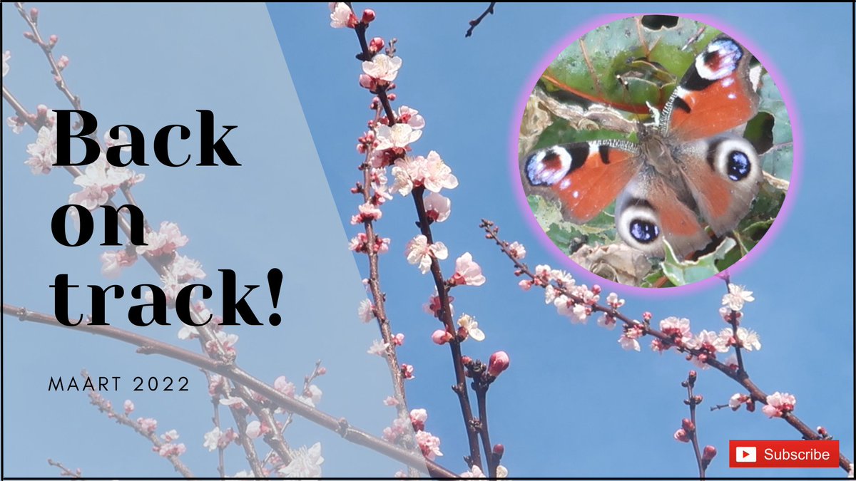 Na een jaar afwezigheid.
Back on track!
youtube.com/watch?v=T1X7Qz…