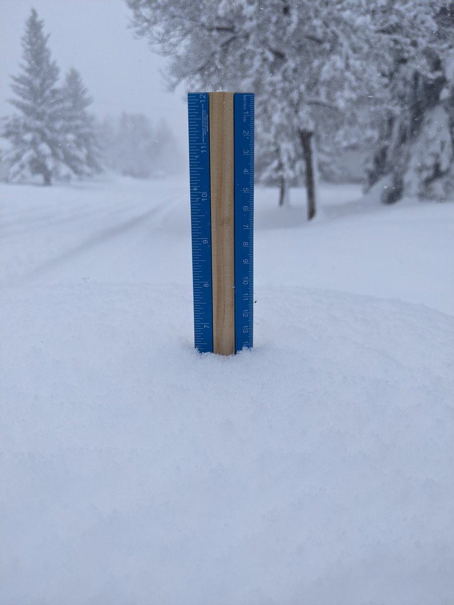 cookit79's tweet photo. @KyleTWN We just measured on top of the garbage can lid that was completely clear yesterday. https://t.co/VNTvB1Lv9s
