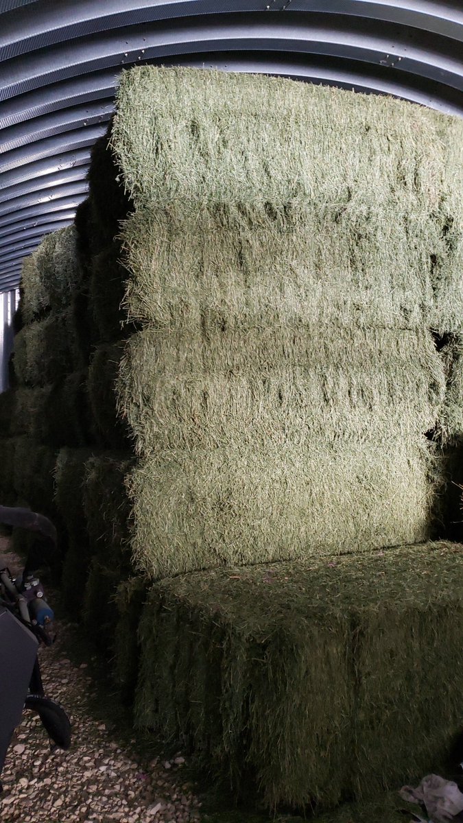 Still got some top quality alfalfa for sale! DM if need any, feed tests available. RT appreciated!#cowchow #hay #alfalfa #dairy #AgTwitter