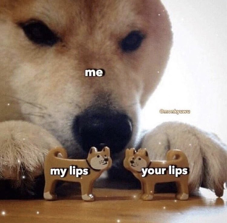 Lovey Dovey Love Loveydovey Couple Couplememes Wholesomememes Kiss Yourlips Mylips Lips T Co R5o244zzgt Twitter Lovey Dovey Love Loveydovey Couple Couplememes Wholesomememes Kiss Yourlips Mylips Lips T Co R5o244zzgt Twitter