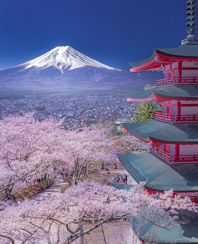 Magnificent view on Mount fuji in spring. Japan 🇯🇵❤️💙💚