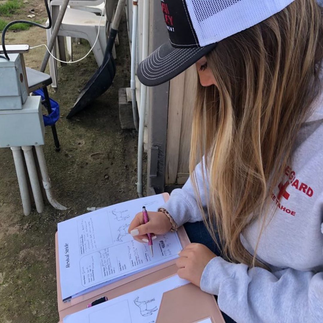 MercedMariposa's tweet photo. Congrats to Alison Heupel for being the Central Region’s Star in Agribusiness Winner! This award highlights the top student with an agriculture-related business within our region! We can’t wait to hear the results at state conference which is only a couple of days away. @gvffa https://t.co/K6Ythvaswe