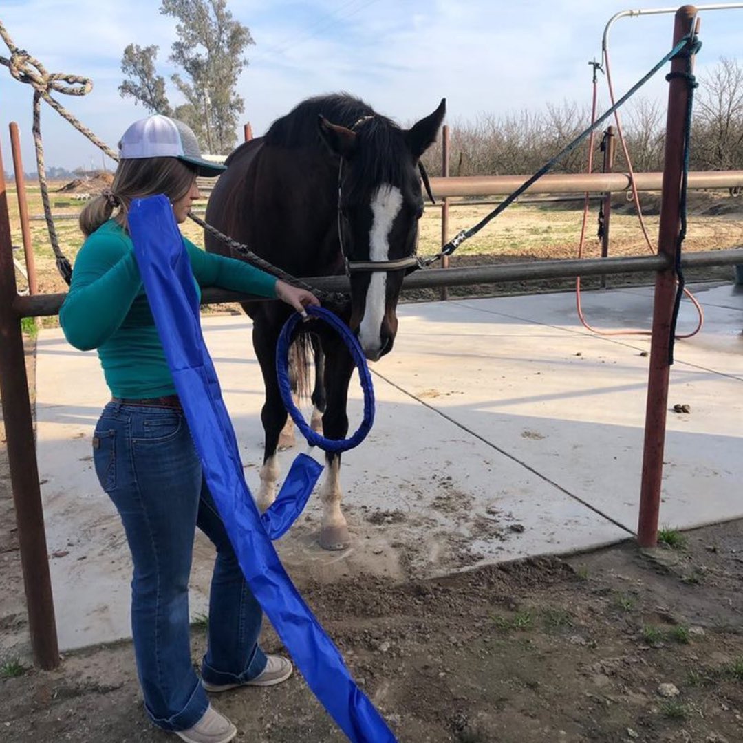 MercedMariposa's tweet photo. Congrats to Alison Heupel for being the Central Region’s Star in Agribusiness Winner! This award highlights the top student with an agriculture-related business within our region! We can’t wait to hear the results at state conference which is only a couple of days away. @gvffa https://t.co/K6Ythvaswe