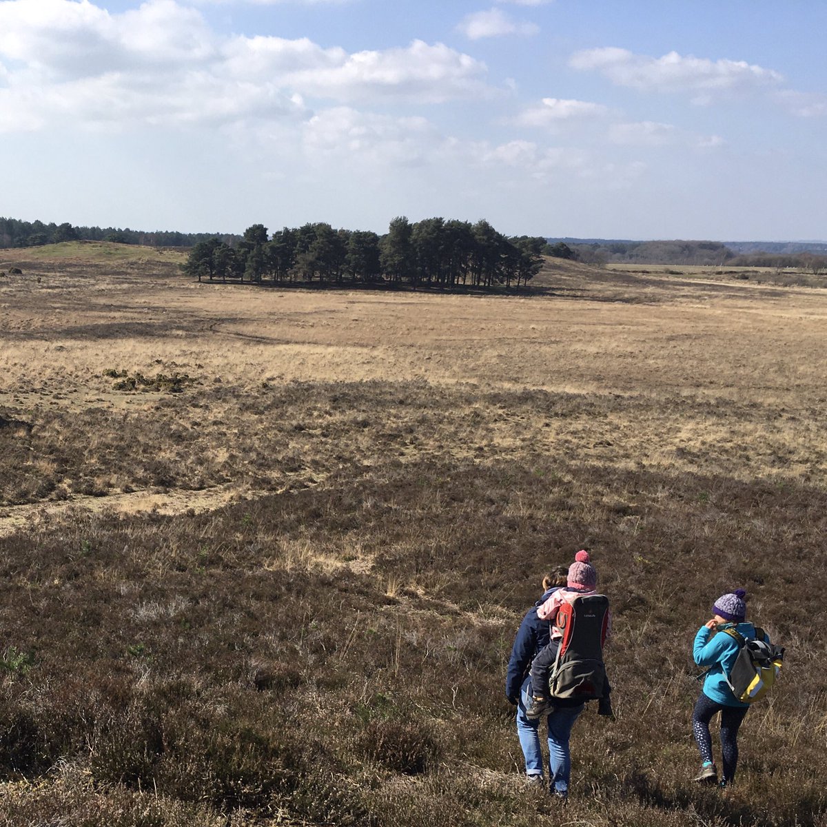 ByLaurieDesigns's tweet photo. What started out of necessity in lockdown is swiftly becoming a family tradition.
#newforest #thenewforest #lovewhereyoulive #outsideisbest #outdoorfamily #trangia #trangiastove #popcorn #trangiacooking https://t.co/T7v64Mcqta