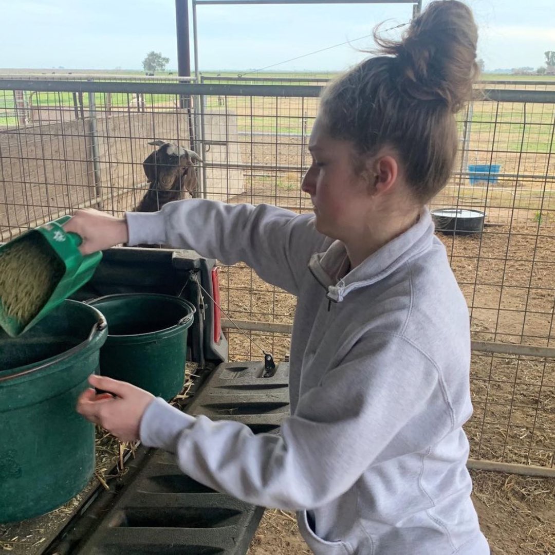 MercedMariposa's tweet photo. Now introducing Central Region’s Star Farmer! Congratulations to Kamille Dean from @gvffa for being awarded this accomplishment for her Production SAE Project. She’ll now be competing against five other individuals at the approaching @californiaffa State Conference! https://t.co/ZewGJs3MDU