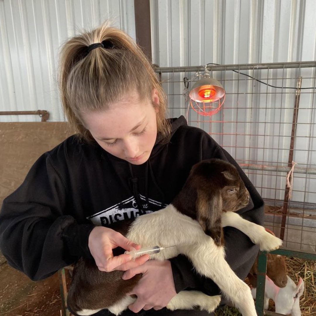 MercedMariposa's tweet photo. Now introducing Central Region’s Star Farmer! Congratulations to Kamille Dean from @gvffa for being awarded this accomplishment for her Production SAE Project. She’ll now be competing against five other individuals at the approaching @californiaffa State Conference! https://t.co/ZewGJs3MDU