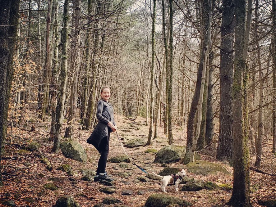 Social4Sarah's tweet photo. Zephyr went on his first "real hike" today, #PitcherMountain!
He had a blast. He climbed up & down. He sniffed and explored the whole way. He's going to be an awesome #HikingDog.
Get ready for more #AdventuresWithZephyr.
There will be a ton! #RescueDog #TakeAHike #GetOutside https://t.co/WaZiOvgUp6