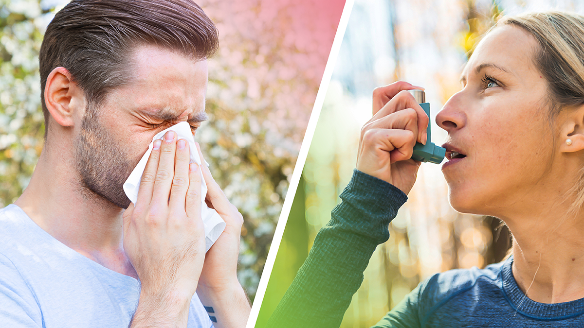 Scripps Health on Twitter "DYK Allergyinduced asthma is the most