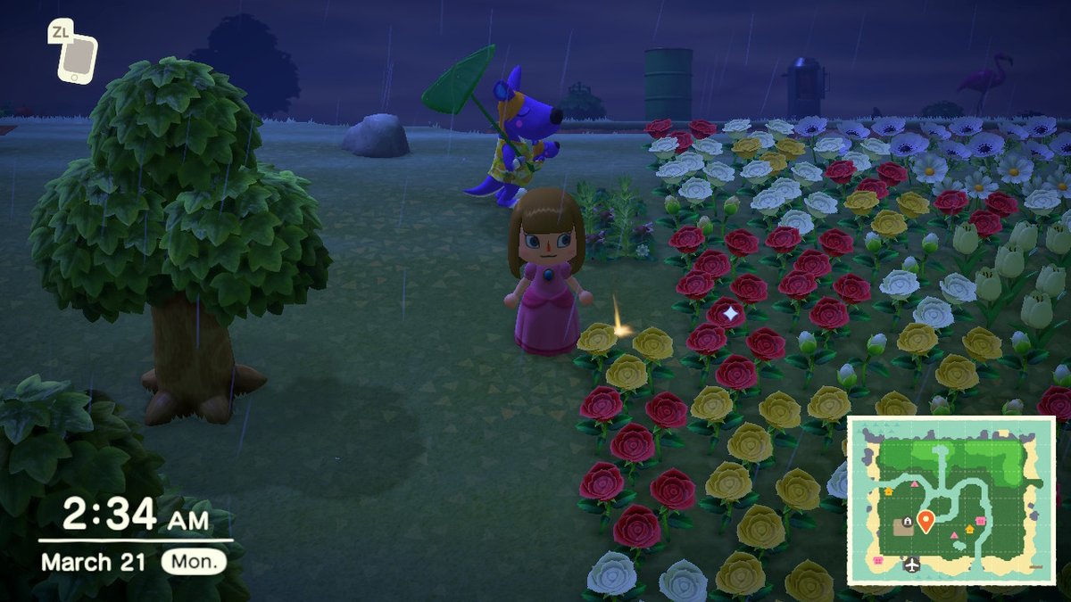 yllestbxtch's tweet photo. #AnimalCrossing #ACNH #NintendoSwitch https://t.co/3L844KyyYw