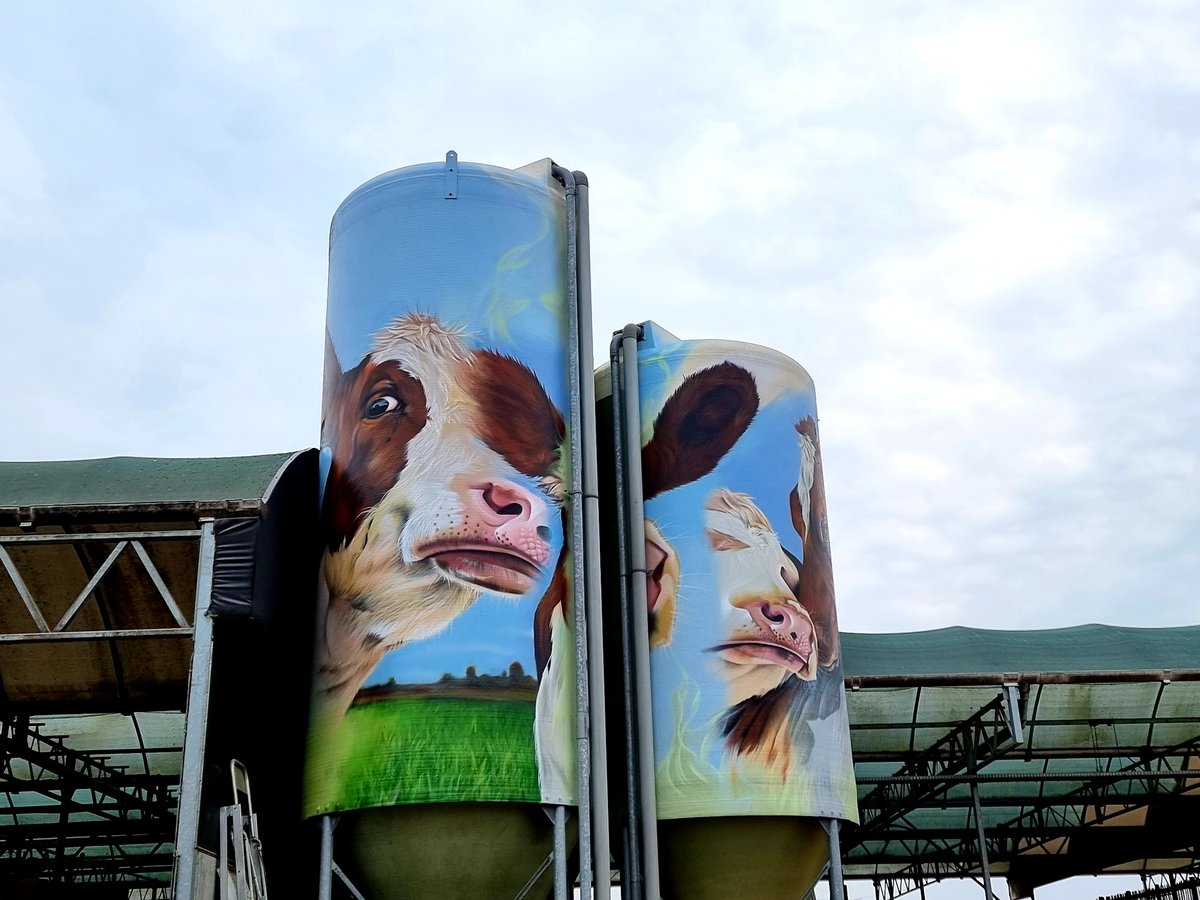 inde8erhoek's tweet photo. De nieuwste locatie van de Silo art tour van de Achterhoek. 3 Silo's en een schuurdeur bij de Koeientuin in de gemeente Oost Gelre. Het kunstwerk is gemaakt door SMOK.
#achterhoek #gelderland #jedoethetindeachterhoek #Koeientuin #oostGelre Foto's Ans Westerveld https://t.co/Vu5AQT6LNC