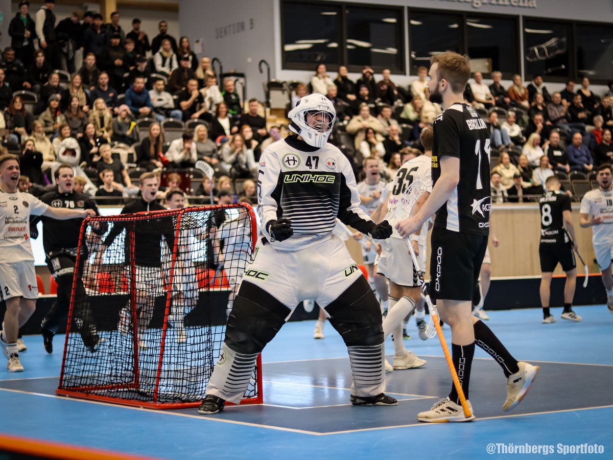 IBF Västerås tweet media