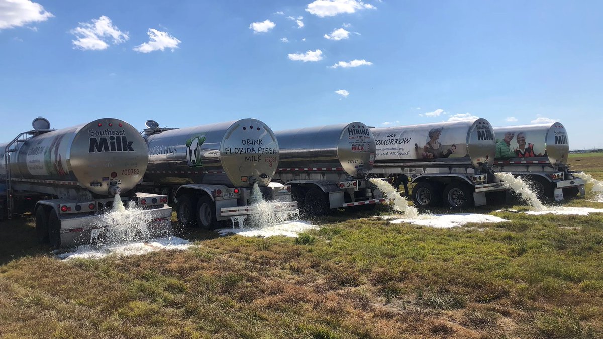 joe_shmeaux's tweet image. 