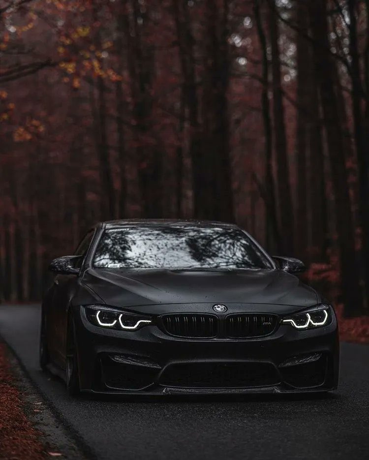 LuxuryCars365's tweet photo. BMW M4 ♠️ https://t.co/b5BucEr9yO