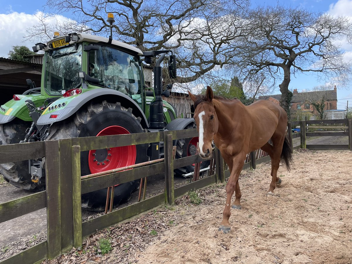 hannah_roachxx's tweet photo. Two types of horse power😍😝 #brothersnewtoy #Fendt #racehorse #IrishAnthem https://t.co/820tg9sNad