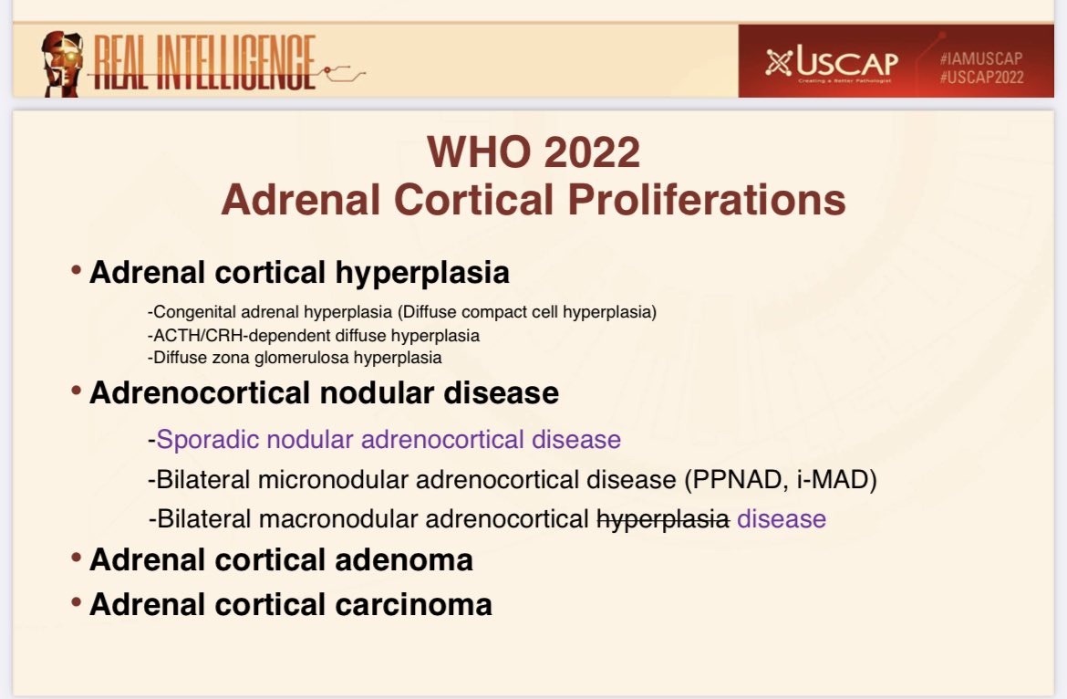 Sara_Jiang's tweet photo. Dr. Ozgur Mete with a “bird’s eye” view of what’s new in the WHO adrenal @EndoPath #USCAP2022 @TheUSCAP #EndoPath 

https://t.co/NwOscBp3OG https://t.co/B8oJVx6SDG