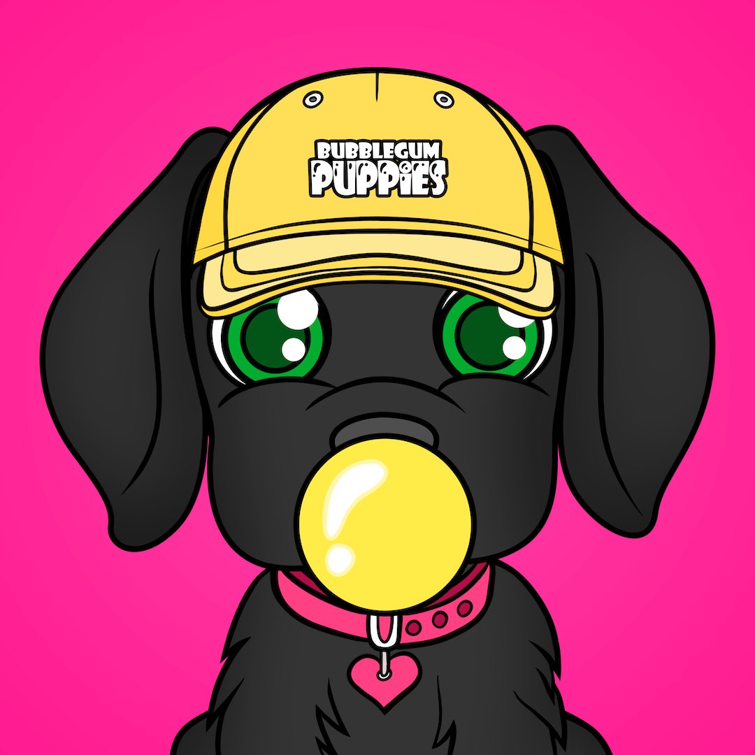 Welcome this new puppy to the family 👑🐶💞✨ <a href="/bubblegumkids_/">Bubblegum Kids</a> #BGKTAKEOVER #BGK #BGP