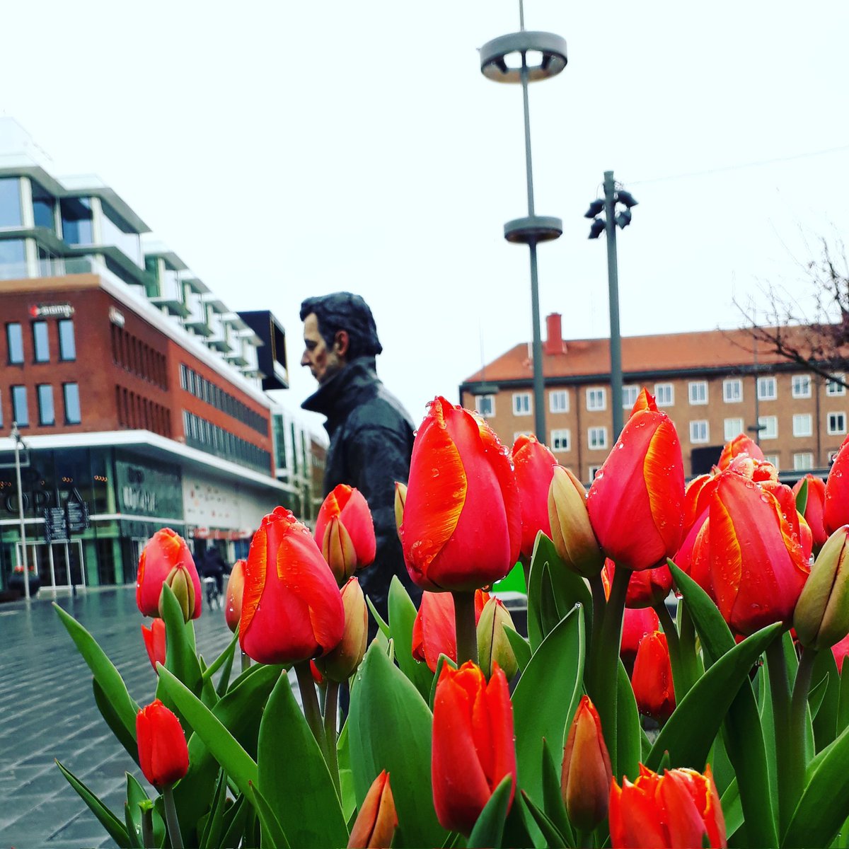 GranAnnika's tweet photo. @LeoR1011 God afton från #Umeå. #Standingman. Hoppas du får en lugn kväll 😴 https://t.co/CAJe0jWSAG