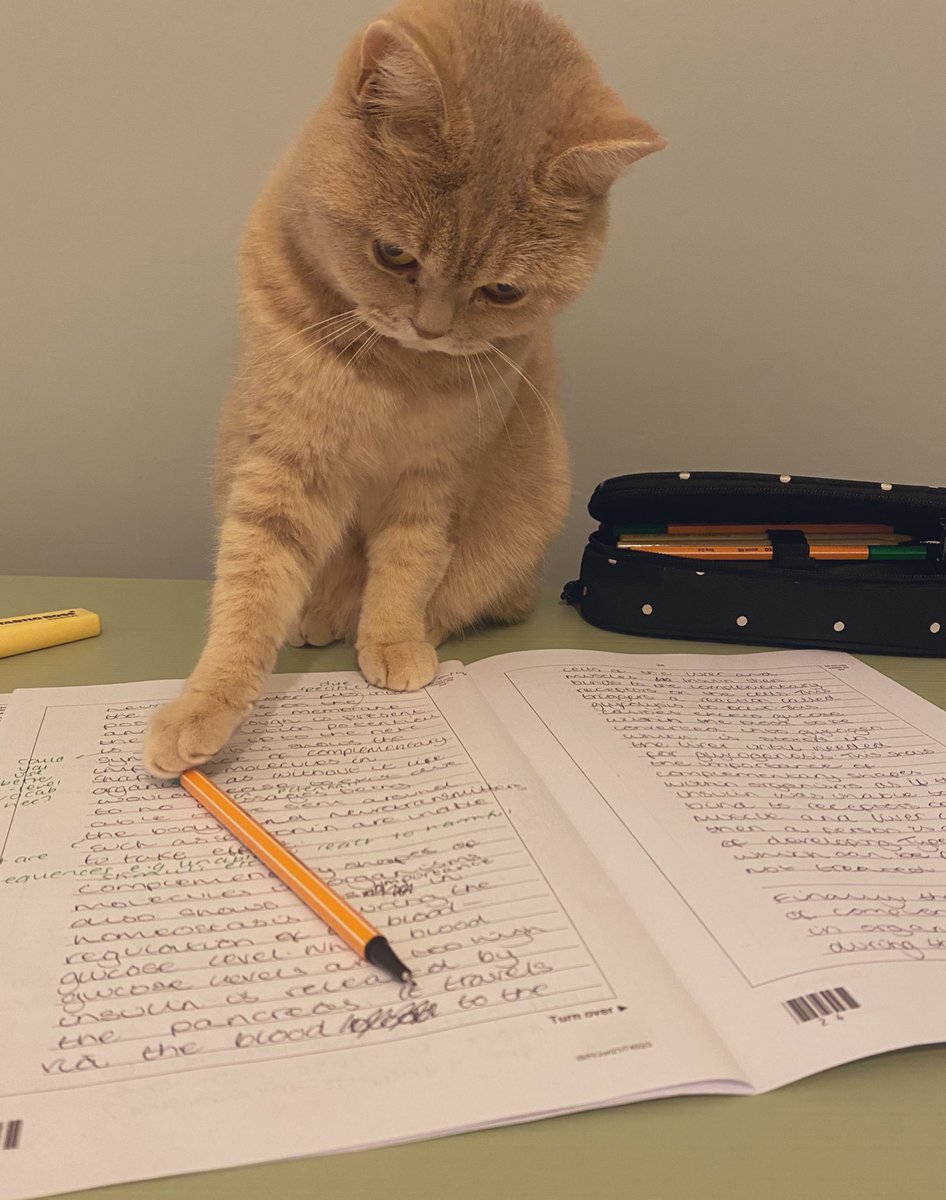 Out of curiosity, how long does it take people to mark an A level Bio essay Q on Paper 3? #chatbiology