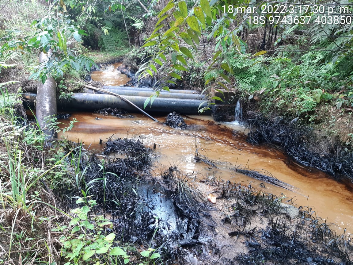 4cuencas's tweet photo. 🚨 #ATENCIÓN Nuevo derrame en el #Lote192. La comunidad #kichwa Doce de Octubre y la federación #OPIKAFPE alertaron que la emergencia se trataría de petróleo y aguas de producción contaminando gran parte de la quebrada Setiyacu 🚨 @Perupetrosa @OEFAperu https://t.co/uxMz3oQoqQ