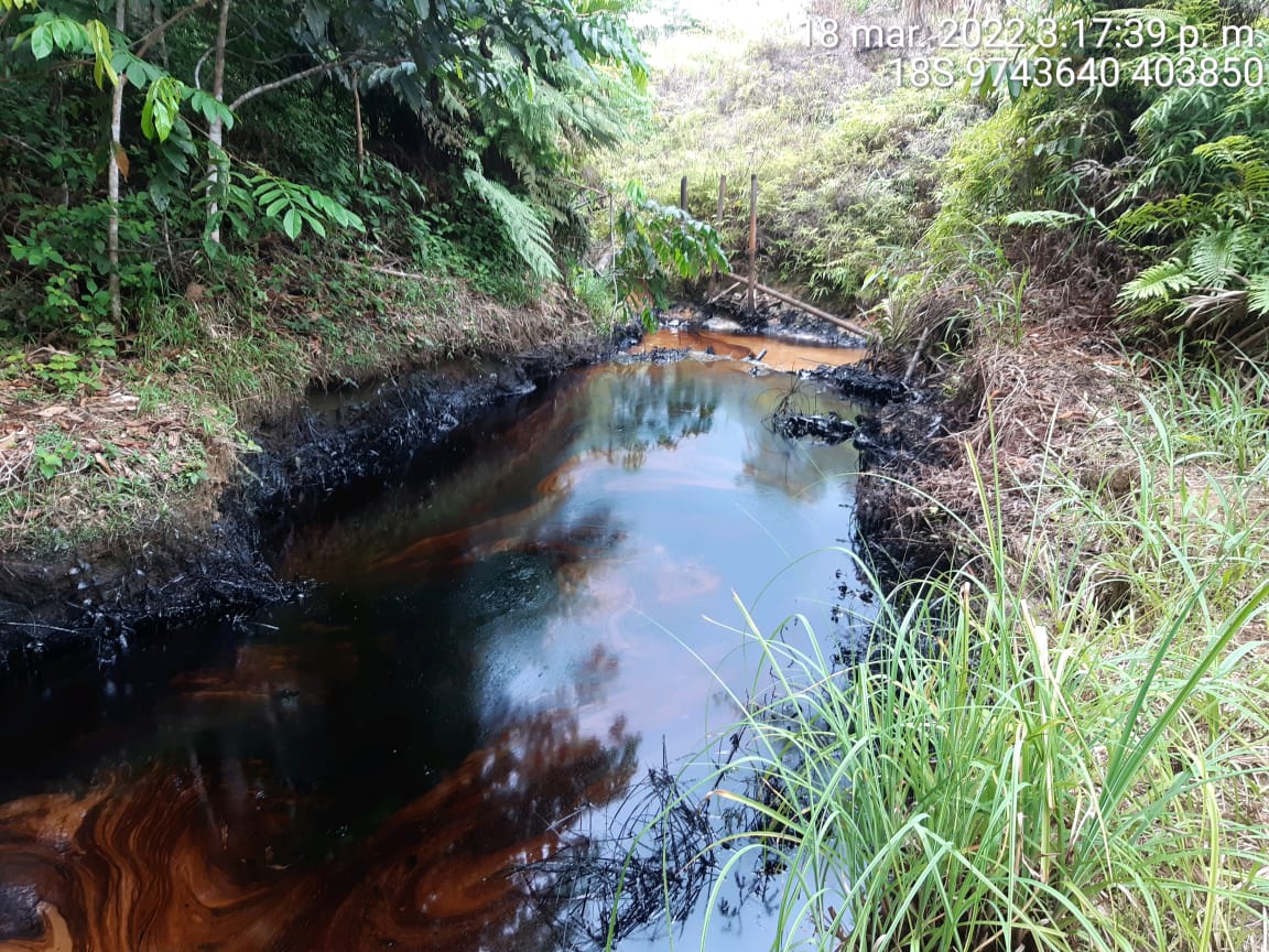 4cuencas's tweet photo. 🚨 #ATENCIÓN Nuevo derrame en el #Lote192. La comunidad #kichwa Doce de Octubre y la federación #OPIKAFPE alertaron que la emergencia se trataría de petróleo y aguas de producción contaminando gran parte de la quebrada Setiyacu 🚨 @Perupetrosa @OEFAperu https://t.co/uxMz3oQoqQ