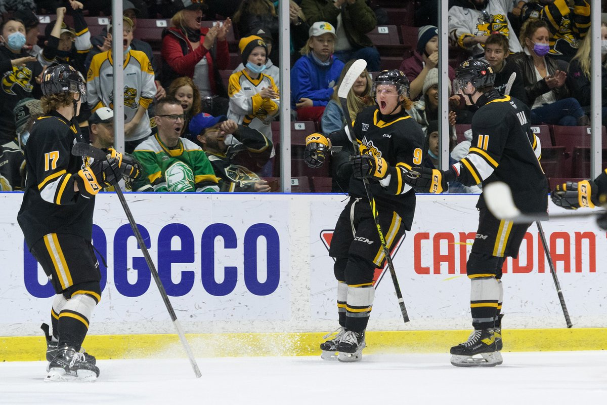 Metcalfe Photography tweet media