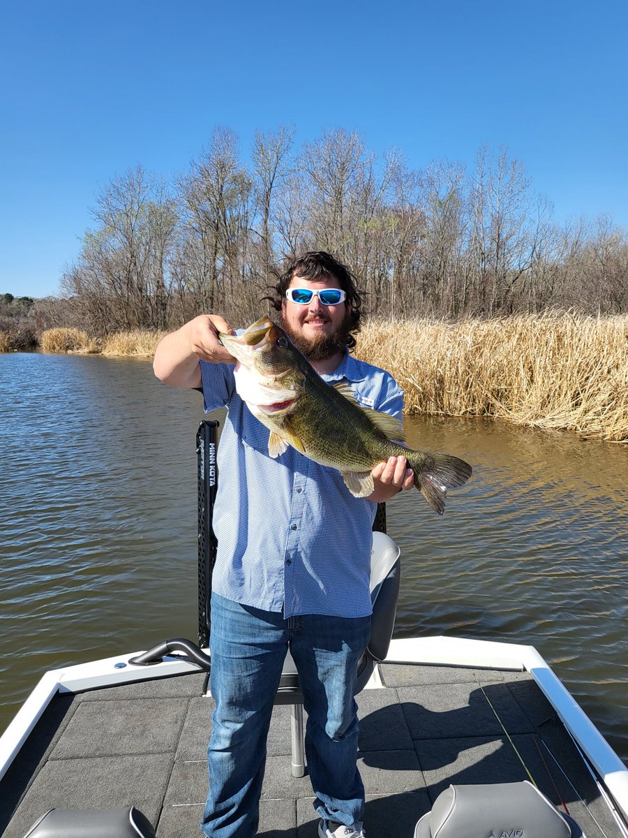 UchihaonYT's tweet image. Flipping cane on lake Palestine! Beautiful 7 pounder! 

#Googanbaits
#VMChooks
#Duckettrods