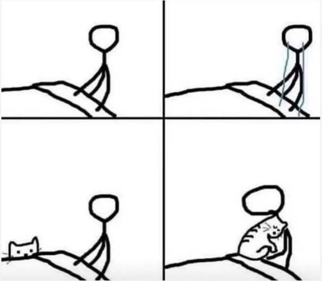 сосеух tweet media