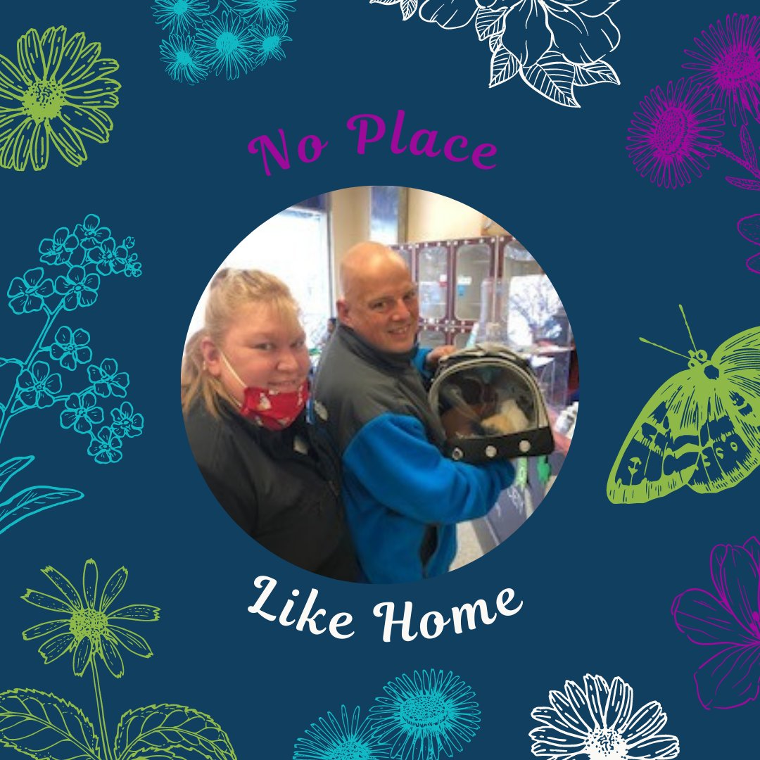 bmorehumane's tweet photo. Day #20 of 31 Days of Adoptions! πHappy Small Animal Sunday! Welcome home, Sunshine and Skittles! Enjoy your new family and the many adventures ahead! π #smallanimalsofinstagram #adorableanimals #maryland #bmorehumane #adoptdontshop #rescuepet #baltimoremaryland #bmore #adpoted https://t.co/bBgWEndK7i
