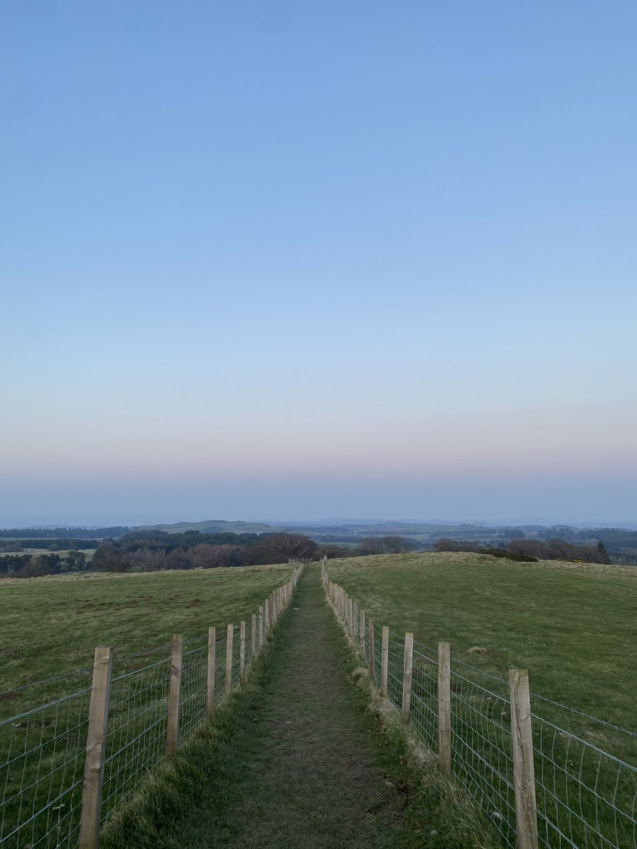 k Mckenzie tweet media