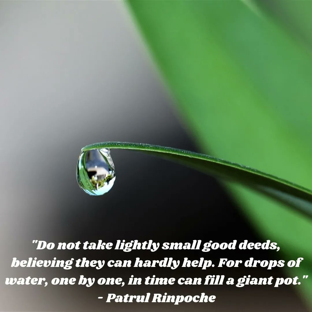 Connectiv_Prjct's tweet photo. Each droplet ensues a ripple effect!  #ConnectivityProject https://t.co/pv8mAKhmP8