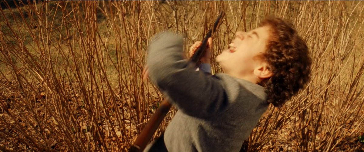 Wes Anderson Quotes tweet media