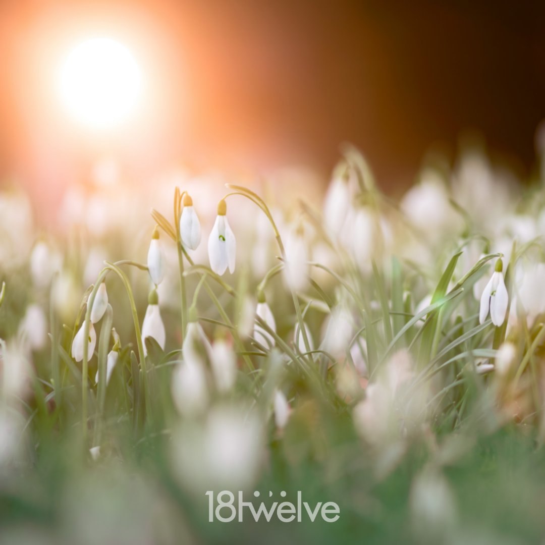 #Spring has sprung! Be sure to live life in #fullbloom 💮
