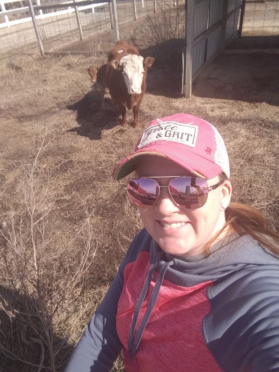 RedBarnLearning's tweet photo. Meanwhile back at the ranch....I am tickled to be an offical first time cow owner! Meet "Mirabel" &amp; "Bruno" https://t.co/TnAMKLq7Cp