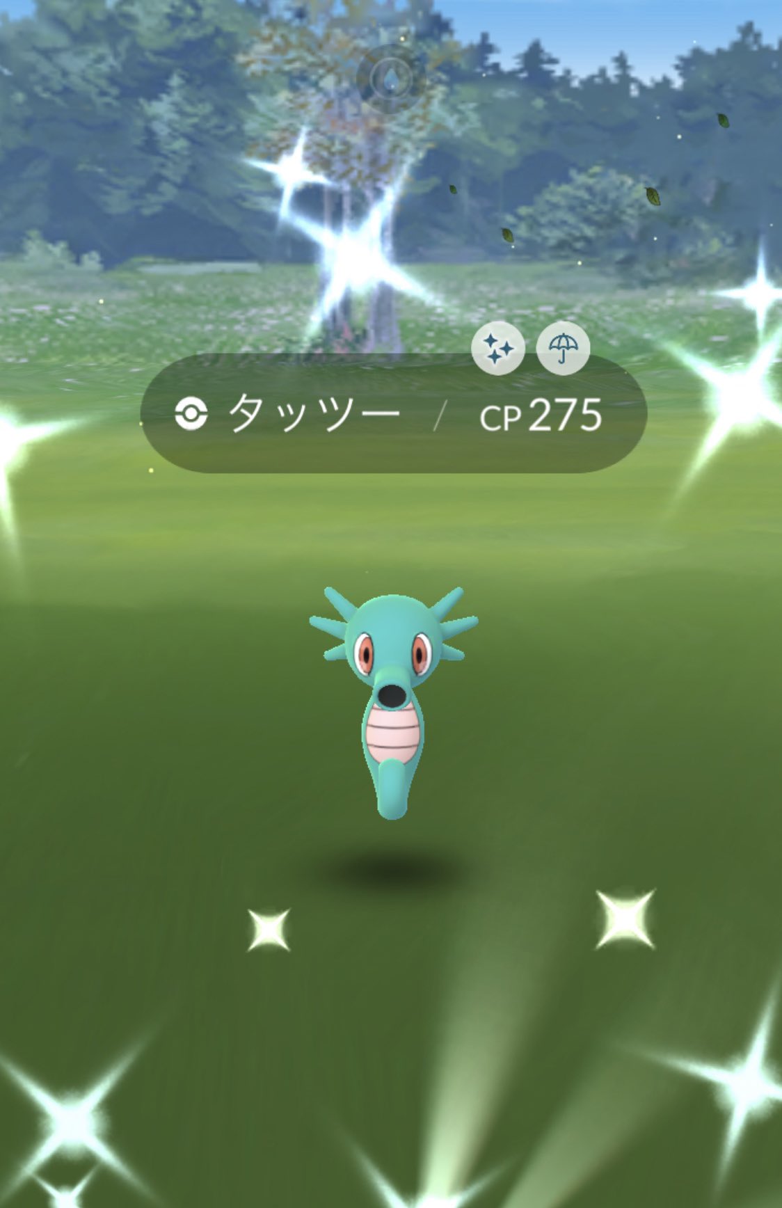 𝑅 ポケモンgo タッツー 色違い T Co Qzbtdr16y9 Twitter 𝑅 ポケモンgo タッツー 色違い T Co Qzbtdr16y9 Twitter