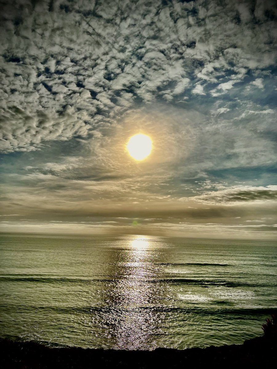 Jeetu Patel tweet media